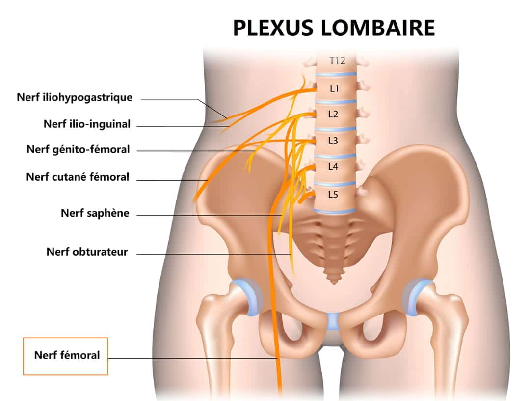 découvrez les causes des nerfs bloqués dans le dos et explorez les solutions efficaces pour soulager la douleur. informez-vous sur les traitements, les exercices et les conseils pratiques pour retrouver le bien-être et améliorer votre qualité de vie.