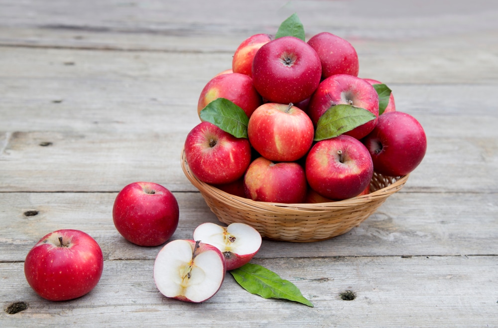 découvrez le processus de stérilisation du jus de pomme, une méthode essentielle pour préserver la saveur, la couleur et la qualité nutritive de cette délicieuse boisson. apprenez les différentes techniques pour garantir une consommation saine et prolongée.